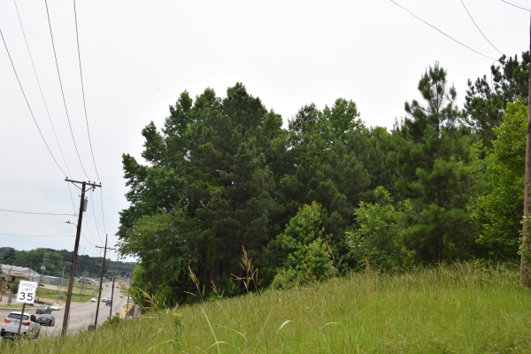 Listing Image #3 - Land for sale at #1 Main, Minden LA 71055