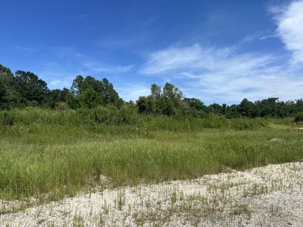 Listing Image #3 - Land for sale at 0 E Street, Pascagoula MS 39567