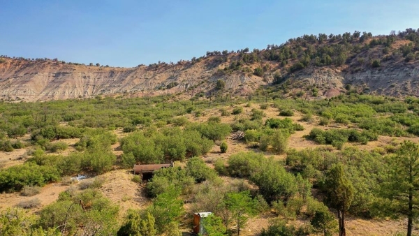 Listing Image #2 - Land for sale at TBD La Posta Canyon Road, Durango CO 81303