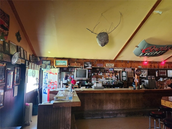 Listing Image #3 - Others for sale at 305 Main Street, Harvey IA 50119