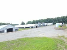Listing Image #2 - Others for sale at TBD E. Woodrow School Road, Murfreesboro NC 27855