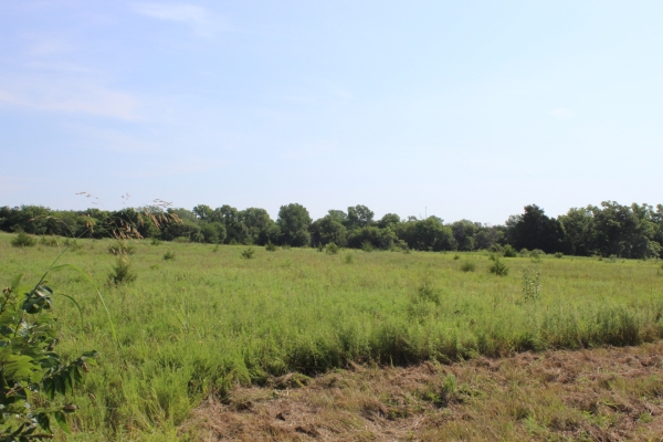 Listing Image #2 - Land for sale at S. Rose Road 19.5 Acres, Stillwater OK 74074