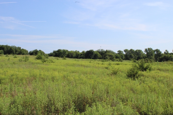 Listing Image #3 - Land for sale at S. Rose Road 19.5 Acres, Stillwater OK 74074