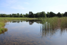 Land for sale in Stillwater, OK