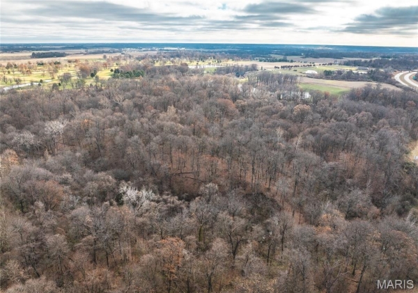 Listing Image #3 - Others for sale at 0 State Route 111 Road, Wood River IL 62095