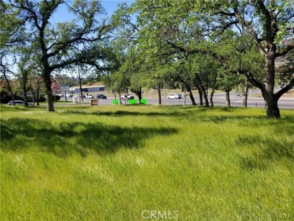 Listing Image #2 - Others for sale at Olive Hwy, Oroville CA 95966