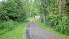 Listing Image #2 - Land for sale at 287 Us-20, New Lebanon NY 12125