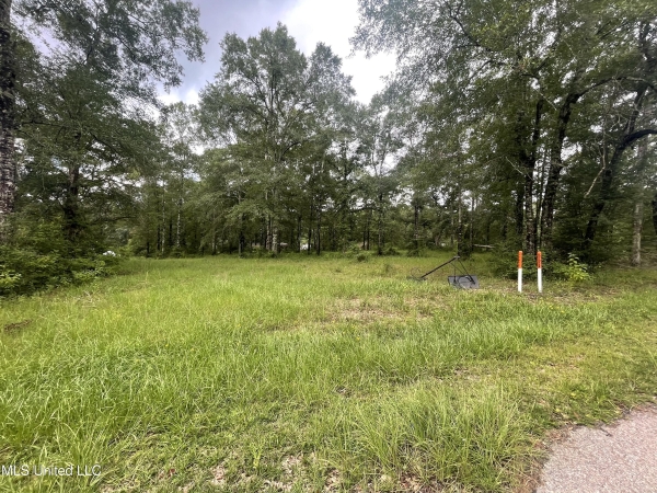 Listing Image #2 - Land for sale at Plantation Road, Saucier MS 39574