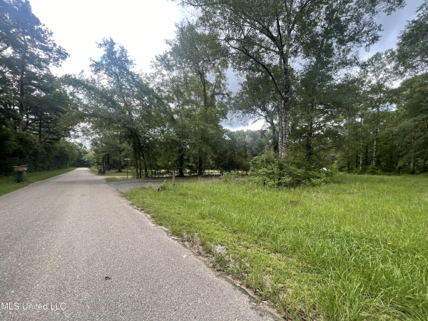 Listing Image #3 - Land for sale at Plantation Road, Saucier MS 39574