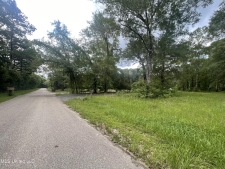 Listing Image #3 - Land for sale at Plantation Road, Saucier MS 39574