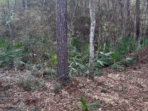 Listing Image #1 - Land for sale at 6461 Simmons Drive, Long Beach MS 39560