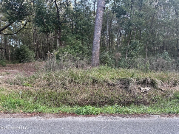 Listing Image #2 - Land for sale at 6461 Simmons Drive, Long Beach MS 39560