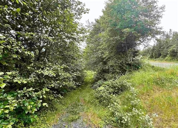 Listing Image #3 - Land for sale at 3012 Goodwin Road, Juneau AK 99801