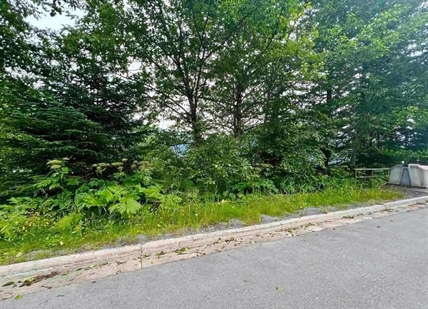 Listing Image #4 - Land for sale at 3012 Goodwin Road, Juneau AK 99801