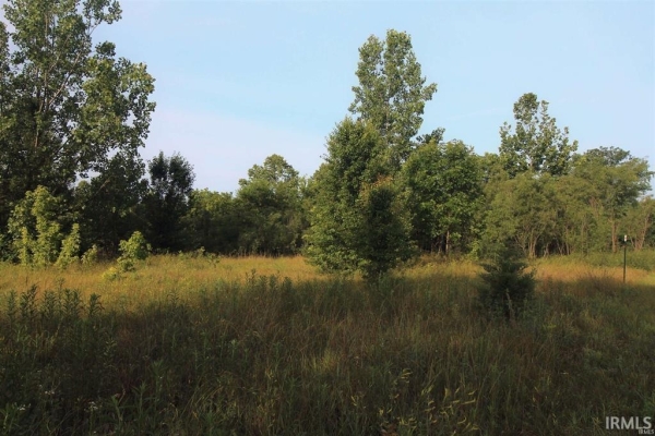 Listing Image #3 - Land for sale at 2.861A W 46 Highway, Spencer IN 47460