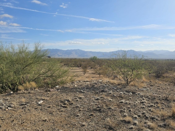 Listing Image #3 - Others for sale at 30155 S State Route 89 --, Congress AZ 85332