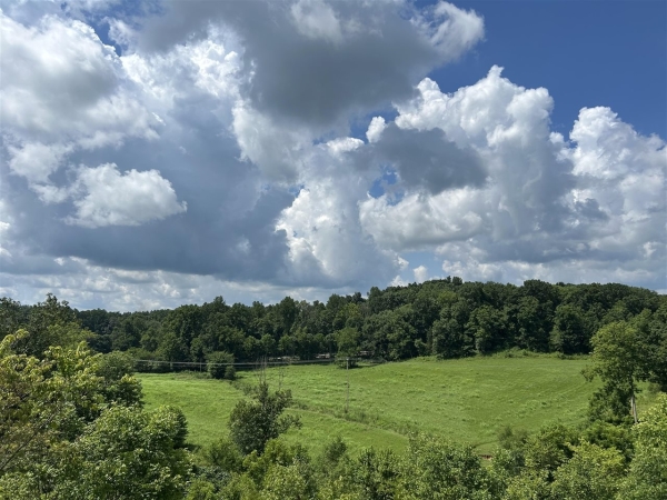 Listing Image #2 - Others for sale at 1886 Bowling Green Road, Scottsville KY 42164