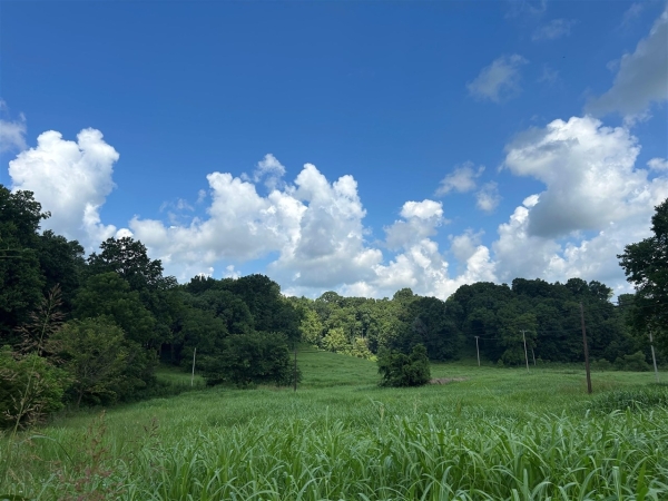 Listing Image #3 - Others for sale at 1886 Bowling Green Road, Scottsville KY 42164