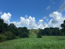 Listing Image #3 - Others for sale at 1886 Bowling Green Road, Scottsville KY 42164
