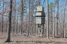 Others property for sale in Patton, MO