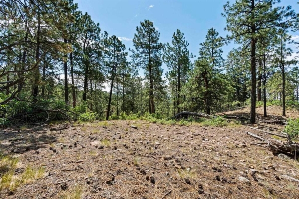 Listing Image #1 - Land for sale at 319 Blue Ridge Circle, Bayfield CO 81122