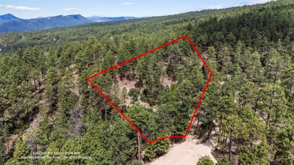 Listing Image #2 - Land for sale at 319 Blue Ridge Circle, Bayfield CO 81122