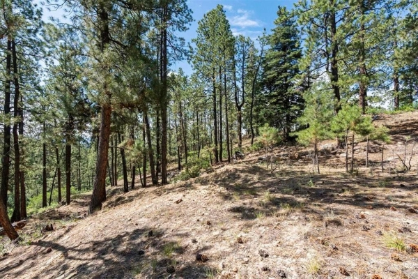 Listing Image #3 - Land for sale at 319 Blue Ridge Circle, Bayfield CO 81122