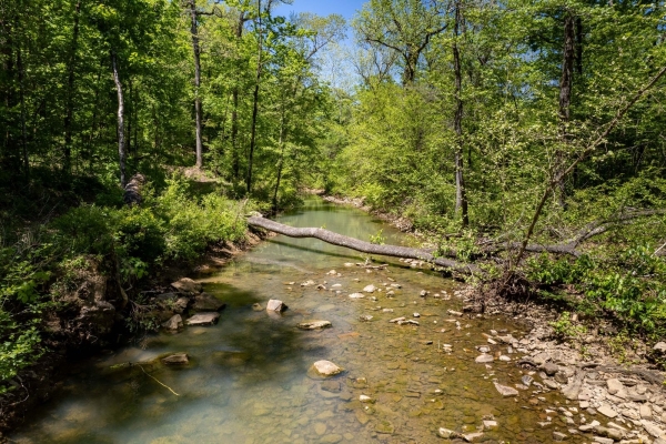 Listing Image #2 - Others for sale at 00 Indian Highway 144, Bethel OK 74957