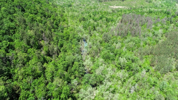 Listing Image #3 - Others for sale at 00 Indian Highway 144, Bethel OK 74957