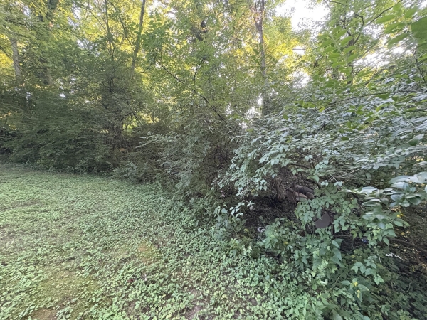 Listing Image #2 - Land for sale at 9th Street, Clarksville TN 37040