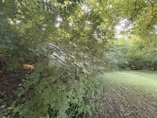 Listing Image #3 - Land for sale at 9th Street, Clarksville TN 37040
