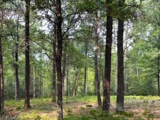 Listing Image #2 - Land for sale at 2.5 Acres County Road Y, Tomahawk WI 54487