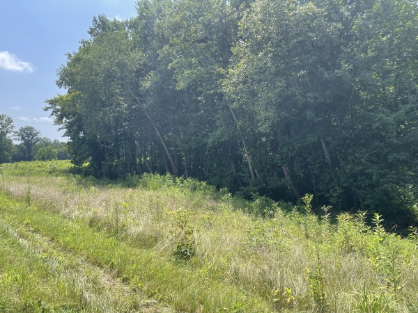 Listing Image #1 - Land for sale at 000 State Route 146W, Vienna IL 62995