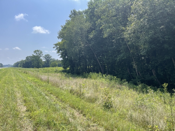 Listing Image #2 - Land for sale at 000 State Route 146W, Vienna IL 62995