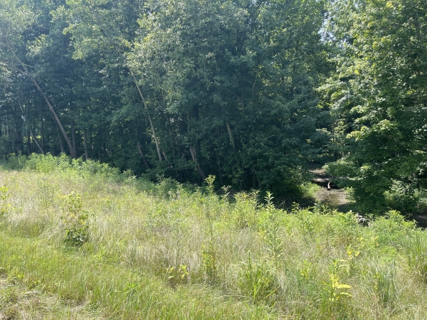Listing Image #3 - Land for sale at 000 State Route 146W, Vienna IL 62995