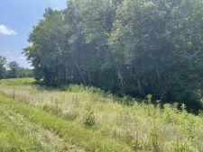 Land for sale in Vienna, IL