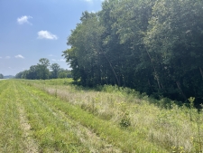 Listing Image #2 - Land for sale at 000 State Route 146W, Vienna IL 62995