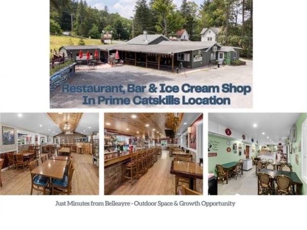 Listing Image #1 - Retail for sale at 46 Depot Street, Fleischmanns NY 12430