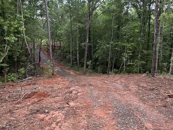 Listing Image #2 - Land for sale at 351 Cherokee Trail, Forsyth GA 31029