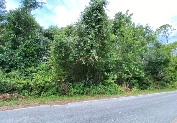Listing Image #2 - Land for sale at 0 N US Highway 17, Seville FL 32190