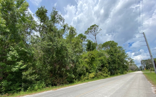 Listing Image #3 - Land for sale at 0 N US Highway 17, Seville FL 32190
