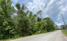 Listing Image #3 - Land for sale at 0 N US Highway 17, Seville FL 32190