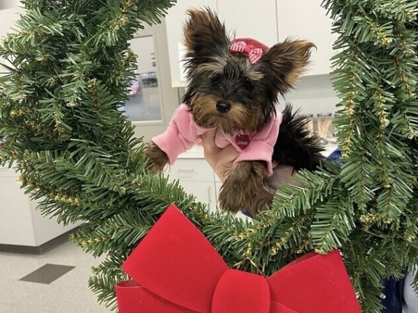 Listing Image #3 - Office for sale at 8505 N. Main St. & 6313 Brookville Salem Rd, Dayton OH 45415