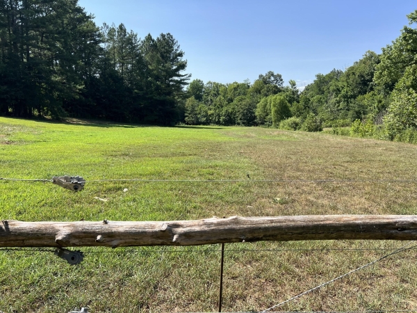 Listing Image #1 - Land for sale at Sparkman Rd, Cumberland Furnace TN 37051