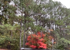 Listing Image #3 - Land for sale at East West Connector, Smyrna GA 31216