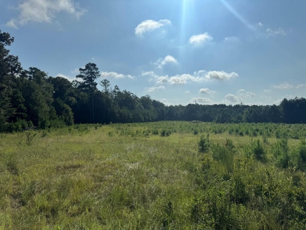 Listing Image #1 - Land for sale at East Lamar Street, Americus GA 31709 Listing Image #1 - Land for sale at East Lamar Street, Americus GA 31709