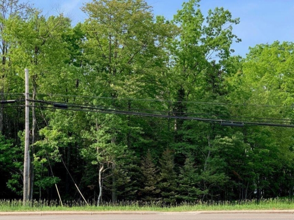 Listing Image #3 - Others for sale at W Houghton Lake Drive, Houghton Lake MI 48629