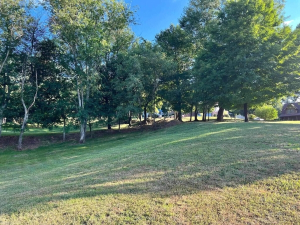 Listing Image #1 - Land for sale at TBD Sentinel Drive, Narrows VA 24124