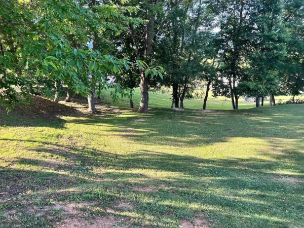 Listing Image #2 - Land for sale at TBD Sentinel Drive, Narrows VA 24124