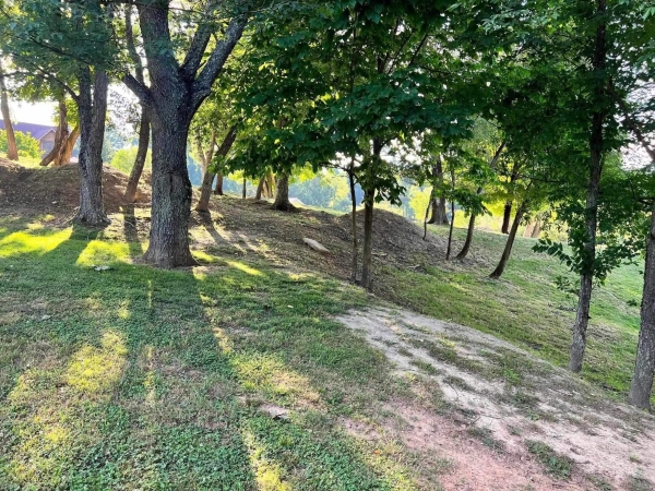 Listing Image #3 - Land for sale at TBD Sentinel Drive, Narrows VA 24124